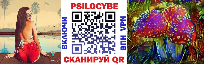 где найти Ковдор Галлюциногенные грибы ЛСД