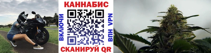 Каннабис сатива  Ковдор 
